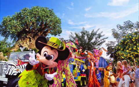 magic kingdom orlando