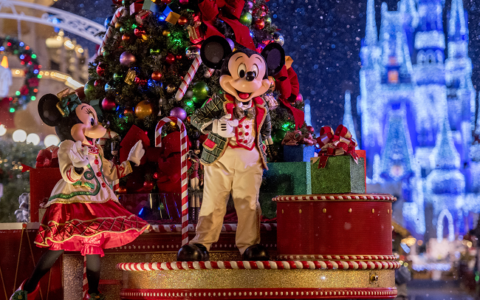 magic kingdom orlando