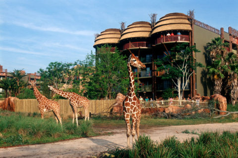 Disney’s Animal Kingdom
