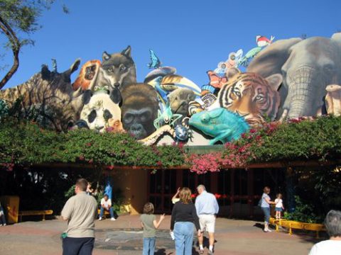 Animal Kingdom