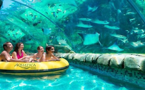 Aquatica en Orlando parque de Agua