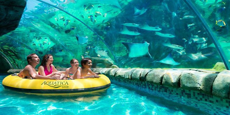 Aquatica En Orlando Parque De Agua De Orlando