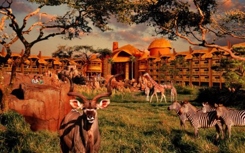 El Hotel de Animal Kingdom en Disneyworld