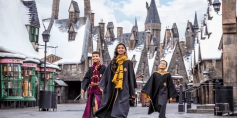 Harry Potter en Universal Island of adventure Orlando, FL