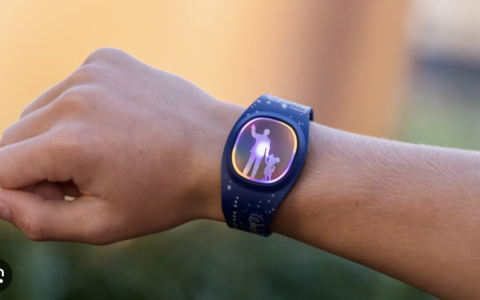 como funcionan las magic bands de Disney world resorts