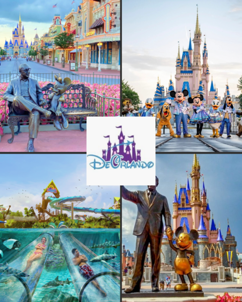 Dónde alojarse en Orlando: mejores zonas cerca de disneyworld según tu presupuesto cerca de disneyworld