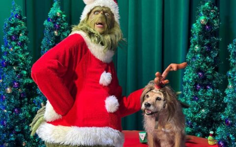 creame otro blog post de actividades navidenas en orlando fl este 2024 con las mismas caracteristicas de este anterior.