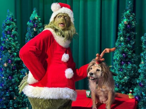 creame otro blog post de actividades navidenas en orlando fl este 2024 con las mismas caracteristicas de este anterior.