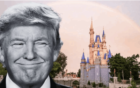 Lo Que los Viajeros Deben Saber al Solicitar una Visa de Turista para Visitar Disney World Orlando